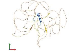 AlphaFold protein structure predicition of Human Recombinant NUFIP2 Protein, UniprotID Q7Z417