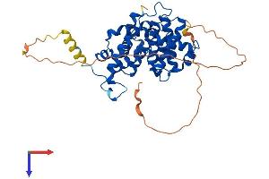 AlphaFold protein structure predicition of Mouse Recombinant Ccnb2 Protein, UniprotID P30276