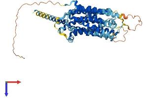 AlphaFold protein structure predicition of Human Recombinant MFSD2A Protein, UniprotID Q8NA29