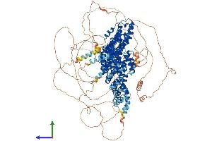 AlphaFold protein structure predicition of Mouse Recombinant Clasp2 Protein, UniprotID Q8BRT1