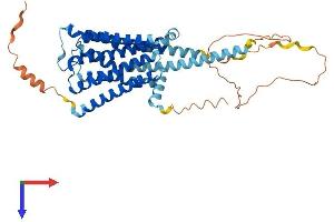 Histamine Receptor H3 (HRH3) (AA 1-445) protein (His tag)