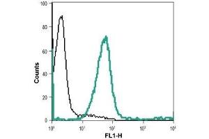 Cell surface detection of Nectin-1 in live intact human THP-1 monocytic leukemia cell line: (black line) Cells + goat anti-rabbit-AlexaFluor-488 secondary antibody.