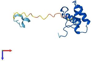 AlphaFold protein structure predicition of Mouse Recombinant Pold4 Protein, UniprotID Q9CWP8