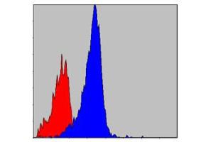 Flow cytometric analysis of NIH/3T3 cells using CRKL monoclonal antibody, clone 5E12  (blue) and negative control (red) .