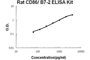 Rat CD86/B7-2 Accusignal ELISA Kit Rat CD86/B7-2 AccuSignal ELISA Kit standard curve.