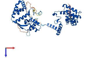 AlphaFold protein structure predicition of Mouse Recombinant Rgs6 Protein, UniprotID Q9Z2H2