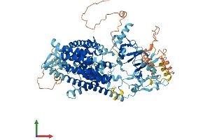 AlphaFold protein structure predicition of Mouse Recombinant Clcn6 Protein, UniprotID O35454