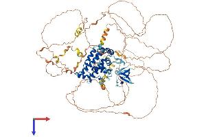 AlphaFold protein structure predicition of Human Recombinant RUSC1 Protein, UniprotID Q9BVN2