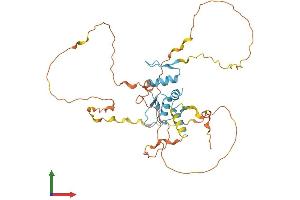 AlphaFold protein structure predicition of Human Recombinant KLF1 Protein, UniprotID Q13351