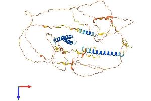 AlphaFold protein structure predicition of Human Recombinant CCDC120 Protein, UniprotID Q96HB5