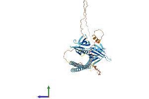 AlphaFold protein structure predicition of Human Recombinant SNAP47 Protein, UniprotID Q5SQN1