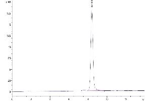 alpha-Fetoprotein (AFP) (AA 19-609) protein (His tag)