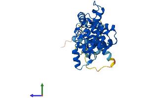 AlphaFold protein structure predicition of Human Recombinant ASB17 Protein, UniprotID Q8WXJ9
