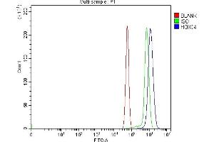 Flow Cytometry analysis of RH35 cells using anti-HOXC4 antibody (ABIN7603059). (HOXC4 anticorps  (Middle Region))