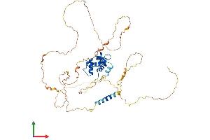 AlphaFold protein structure predicition of Mouse Recombinant Etv4 Protein, UniprotID P28322