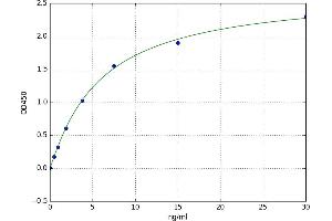 Fibulin 1 (FBLN1) ELISA Kit