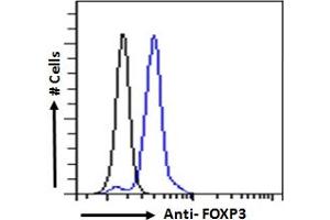 ABIN6391347 Flow cytometric analysis of paraformaldehyde fixed Human peripheral blood mononuclear cells (blue line), permeabilized with 0. (FOXP3 anticorps  (C-Term))