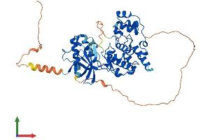 AlphaFold protein structure predicition of Human Recombinant MAPK10 Protein, UniprotID P53779