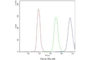 Flow cytometry testing of human SiHa cells with PPT1 antibody at 1ug/10^6 cells (blocked with goat sera) (PPT1 anticorps)