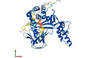 AlphaFold protein structure predicition of Mouse Recombinant Smyd5 Protein, UniprotID Q3TYX3