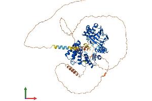 AlphaFold protein structure predicition of Human Recombinant ASPH Protein, UniprotID Q12797