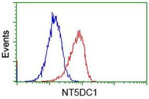 Image no. 3 for anti-5'-Nucleotidase Domain Containing 1 (NT5DC1) antibody (ABIN1499837) (NT5DC1 anticorps)