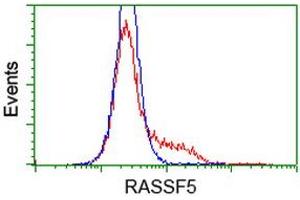 HEK293T cells transfected with either RC203854 overexpress plasmid (Red) or empty vector control plasmid (Blue) were immunostained by anti-RASSF5 antibody (ABIN2454290), and then analyzed by flow cytometry. (RASSF5 anticorps)