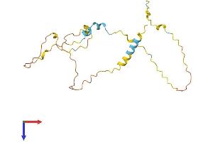 AlphaFold protein structure predicition of Human Recombinant MAP6D1 Protein, UniprotID Q9H9H5