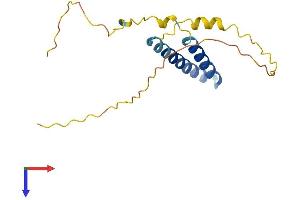 AlphaFold protein structure predicition of Mouse Recombinant Spcs1 Protein, UniprotID Q9D958