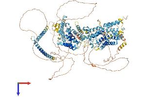 AlphaFold protein structure predicition of Human Recombinant SREBF2 Protein, UniprotID Q12772