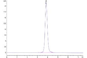 Size-exclusion chromatography-High Pressure Liquid Chromatography (SEC-HPLC) image for SARS-CoV-2 Spike S1 (B.1.617.2 - delta) protein (His tag) (ABIN7274459)