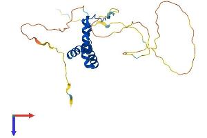 AlphaFold protein structure predicition of Human Recombinant SOX15 Protein, UniprotID O60248