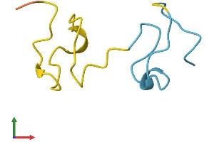 AlphaFold protein structure predicition of Human Recombinant MT4 Protein, UniprotID P47944