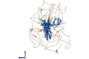AlphaFold protein structure predicition of Mouse Recombinant Fgd6 Protein, UniprotID Q69ZL1