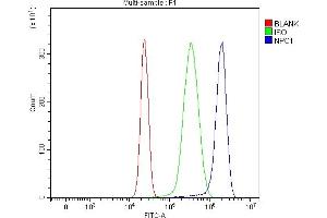 Flow Cytometry analysis of HepG2 cells using anti-Niemann Pick C1/NPC1 antibody (ABIN7603074).