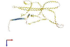 AlphaFold protein structure predicition of Mouse Recombinant Col23a1 Protein, UniprotID Q8K4G2