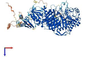 AlphaFold protein structure predicition of Human Recombinant PLD2 Protein, UniprotID O14939