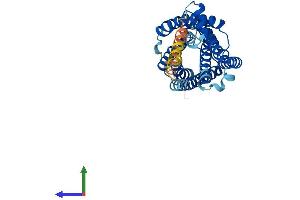 AlphaFold protein structure predicition of Human Recombinant P2RY14 Protein, UniprotID Q15391
