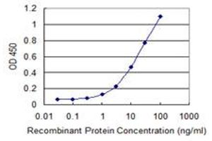 Detection limit for recombinant GST tagged ATP8B4 is 0.