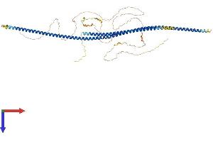 AlphaFold protein structure predicition of Human Recombinant LZTS2 Protein, UniprotID Q9BRK4
