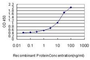 Detection limit for recombinant GST tagged FOXC2 is approximately 0.