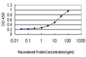 Detection limit for recombinant GST tagged RRAS is approximately 0.