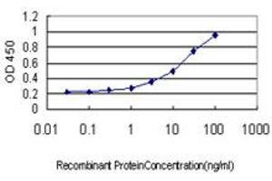 Detection limit for recombinant GST tagged RRAS is approximately 0. (R-Ras anticorps  (AA 109-218))