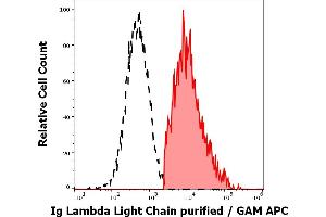 Separation of human Ig Lambda light chain positive lymphocytes (red-filled) from Ig Lambda light chain negative lymphocytes (black-dashed) in flow cytometry analysis (surface staining) of human peripheral whole blood stained using anti-human Ig Lambda Light Chain (1-155-2) purified antibody (concentration in sample 4 μg/mL, GAM APC). (Lambda-IgLC anticorps)