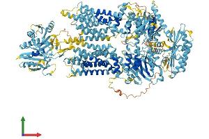 AlphaFold protein structure predicition of Human Recombinant ABCA6 Protein, UniprotID Q8N139