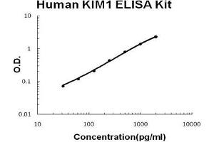 Human KIM1 PicoKine ELISA Kit standard curve