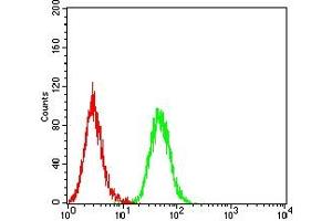 Flow cytometric analysis of HepG2 cells using HIF2a mouse mAb (green) and negative control (red).