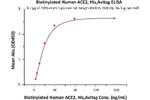 Immobilized 2019-nCoV S protein Full Length (R683A, R685A), His Tag ( ABIN6952426) at 2 μg/mL (100 μL/well) can bind Biotinylated Human ACE2, His,Avitag ( ABI6952431) with a linear range of 2-20 ng/mL (Routinely tested).