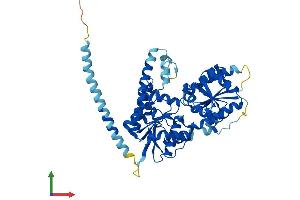 AlphaFold protein structure predicition of Human Recombinant ALG11 Protein, UniprotID Q2TAA5