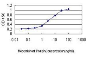 Detection limit for recombinant GST tagged EPB41L3 is approximately 0.